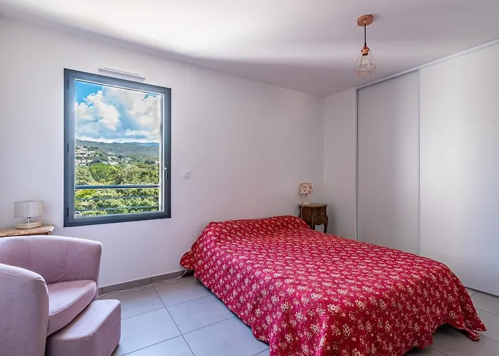 Vita * Grosseto-Prugna